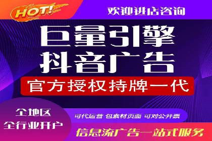 某公司信息流广告的精准投放与效果评估